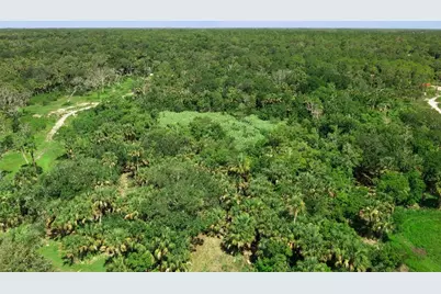 Canvasback Trail, Geneva, FL 32732 - Photo 8