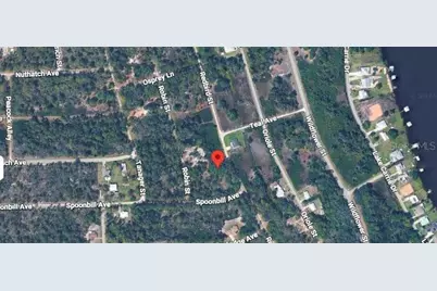 1030 Redbird Street, Lake Placid, FL 33852 - Photo 2
