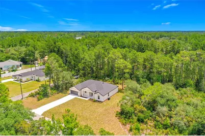 41334 Persimmon Street, Eustis, FL 32736 - Photo 4