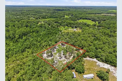6900 NE 195th Street, Citra, FL 32113 - Photo 4