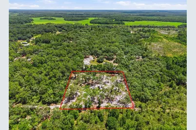 6900 NE 195th Street, Citra, FL 32113 - Photo 1