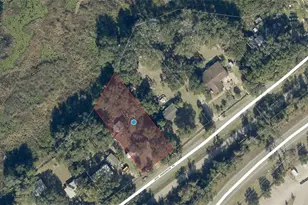 9053 Jack Underwood Rd, Clermont, FL 34711 - Photo 1