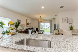 6985 Wilson Pasture Ave, Groveland, FL 34736 - Photo 20