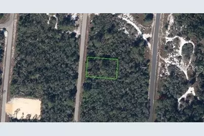 110 Delmar Avenue NE, Lake Placid, FL 33852 - Photo 2