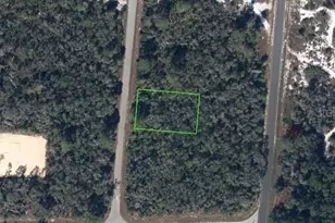 112 Delmar Ave NE, Lake Placid, FL 33852 - Photo 1