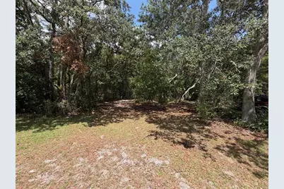 981 Sevilla Avenue, Lake Helen, FL 32744 - Photo 4