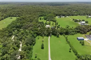 1705 Van Arsdale St, Oviedo, FL 32765 - Photo 50