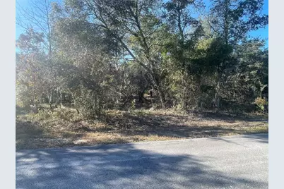 1056 Bamboo Lane, Dunnellon, FL 34431 - Photo 4