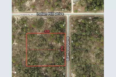 1056 Bamboo Lane, Dunnellon, FL 34431 - Photo 8