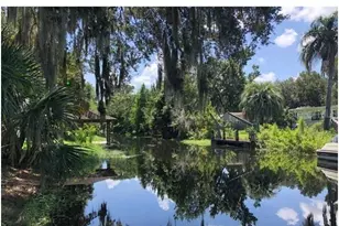 20 Oakdale St, Windermere, FL 34786 - Photo 4