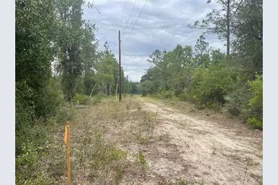 6624 NE 96 Avenue, Bronson, FL 32621 - Photo 4