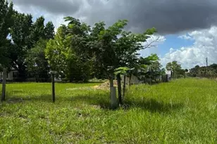 [Address not provided], Clermont, FL 34711 - Photo 1