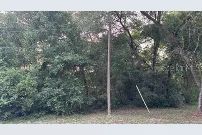 Se 11th Street, Silver Springs, FL 34488 - Photo 1