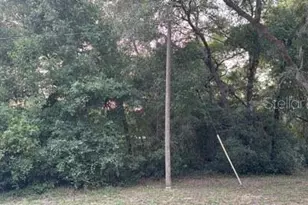 SE 11th St, Silver Springs, FL 34488 - Photo 1