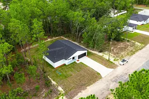 1902 W Adelia Pl, Citrus Springs, FL 34434 - Photo 40