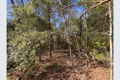 2085 SW Algiers Court, Dunnellon, FL 34431 - Photo 2