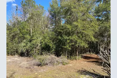 2085 SW Algiers Court, Dunnellon, FL 34431 - Photo 4