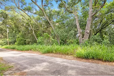 Avalon Road, Winter Garden, FL 34787 - Photo 8