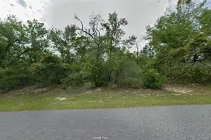 3012 W Eunice Dr, Dunnellon, FL 34433 - Photo 1