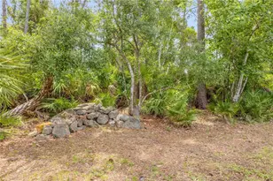 106 Pine Tree Dr, Ormond Beach, FL 32174 - Photo 74