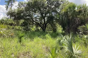 4421 24th Ave SE, Naples, FL 34117 - Photo 1