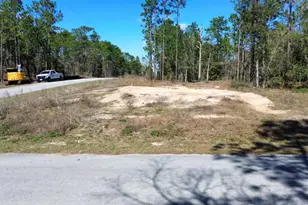 24491 NW Hemlock Ave, Dunnellon, FL 34431 - Photo 1