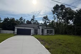 13430 SW 88th Terrace, Dunnellon, FL 34432 - Photo 4