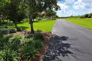 6587 Old Carriage Rd, Winter Garden, FL 34787 - Photo 68