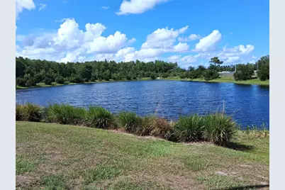 10009 Eagle Rock Alley, Orlando, FL 32832 - Photo 34
