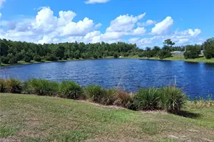 10009 Eagle Rock Aly, Orlando, FL 32832 - Photo 34