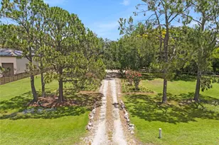 10355 Trout Rd, Orlando, FL 32836 - Photo 10