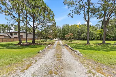 10355 Trout Road, Orlando, FL 32836 - Photo 8