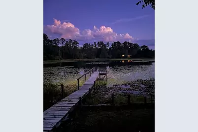 25814 Fishermans Road, Paisley, FL 32767 - Photo 8