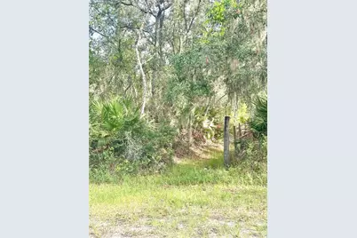 Saffron Avenue, Eustis, FL 32736 - Photo 4