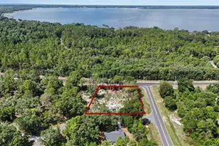 3 Bay Dr, Ocklawaha, FL 32179 - Photo 1