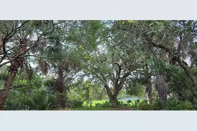 6150 SW 126th Avenue, Cedar Key, FL 32625 - Photo 4