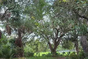 6150 SW 126th Ave, Cedar Key, FL 32625 - Photo 4
