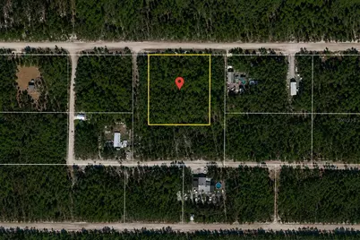 Ne 239th Street, Fort Mc Coy, FL 32134 - Photo 1