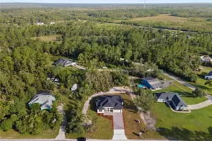 30643 Apricot Ave, Eustis, FL 32736 - Photo 6