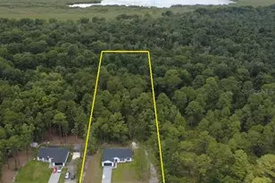 42065 Tamarac St, Eustis, FL 32736 - Photo 2