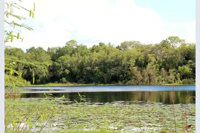 3179 Foxwood Dr, Apopka, FL 32703 - Photo 62