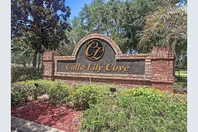 2528 Calla Lily Cove, Kissimmee, FL 34758 - Photo 58