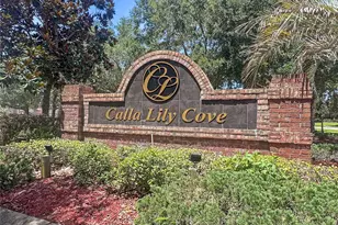2528 Calla Lily Cove, Kissimmee, FL 34758 - Photo 58