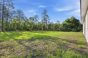 7433 SW 138th Terrace, Dunnellon, FL 34432 - Photo 34