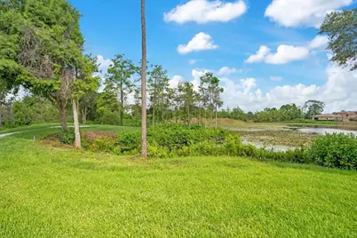 8342 Boyla Court, Windermere, FL 34786 - Photo 86