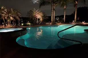 2629 Tree Meadow Loop, Apopka, FL 32712 - Photo 38