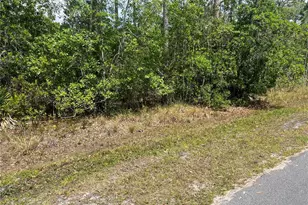 1755 Cassidy Dr, Saint Cloud, FL 34771 - Photo 1