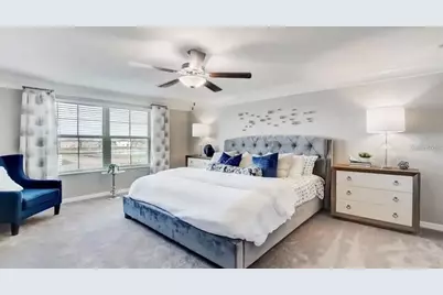 5059 White Chicory Drive, Apollo Beach, FL 33572 - Photo 14