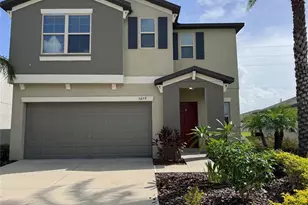 5059 White Chicory Dr, Apollo Beach, FL 33572 - Photo 1