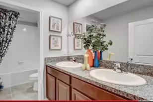 5059 White Chicory Dr, Apollo Beach, FL 33572 - Photo 6